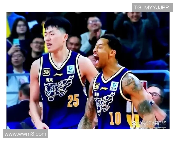 2017年辽宁队与四川队精彩对决回顾及赛季分析