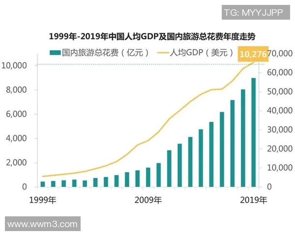 上海排球队个人能力深度对比与分析探讨