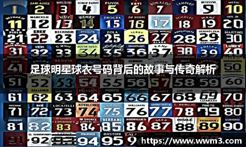 三亿体育有限公司